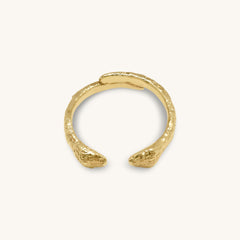 Anillo Shesha