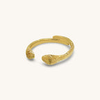 Anillo Shesha