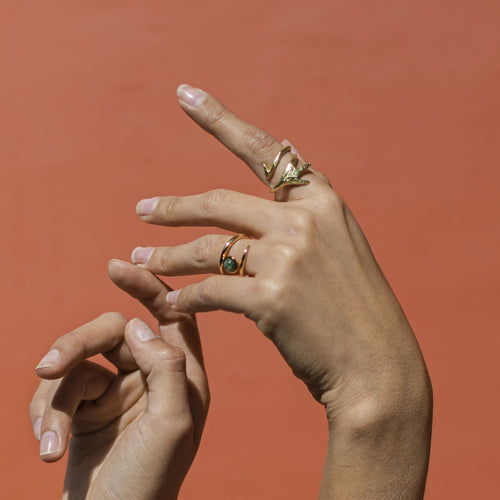 Anillo Ravi