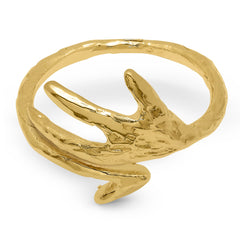 Anillo Ravi