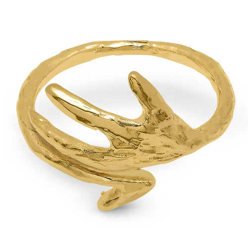 Anillo Ravi