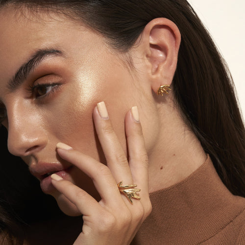 Anillo Ravi